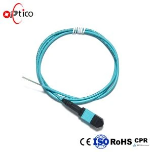 MPO 12F Pigtail